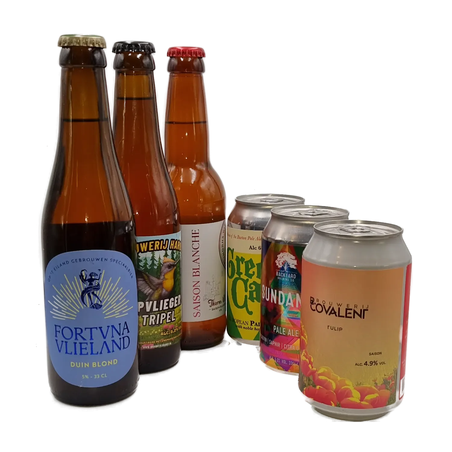 Thuisproeverij voor beginners 6x33cl - Diverse brouwerijen